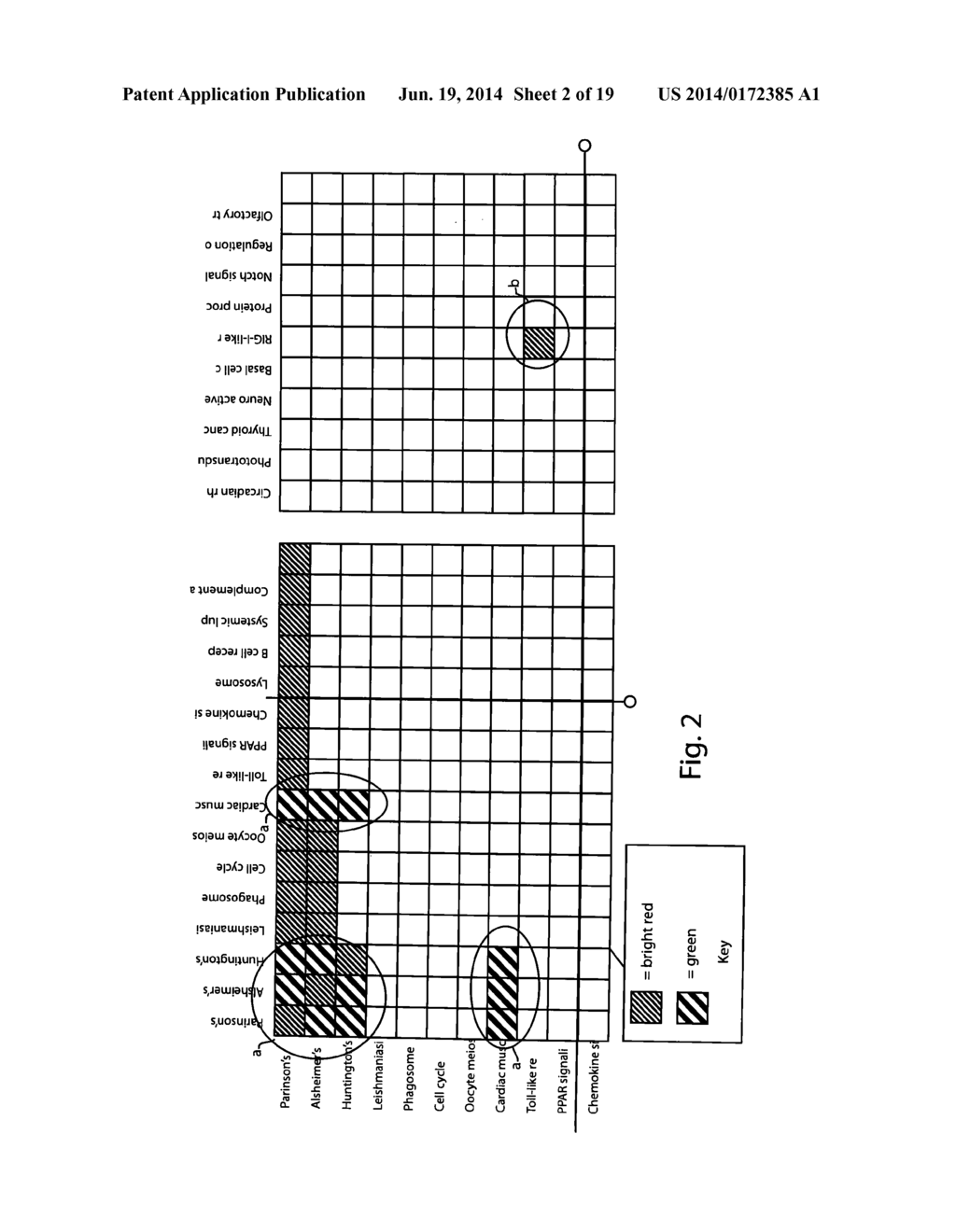 Genetic, Metabolic and Biochemical Pathway Analysis System and Methods - diagram, schematic, and image 03