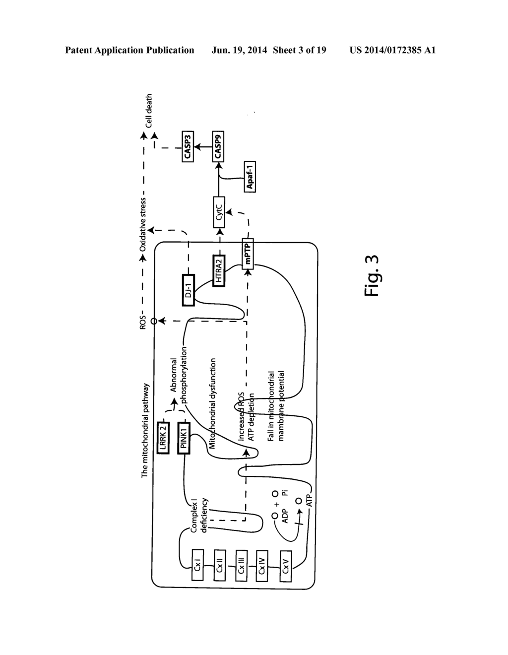 Genetic, Metabolic and Biochemical Pathway Analysis System and Methods - diagram, schematic, and image 04