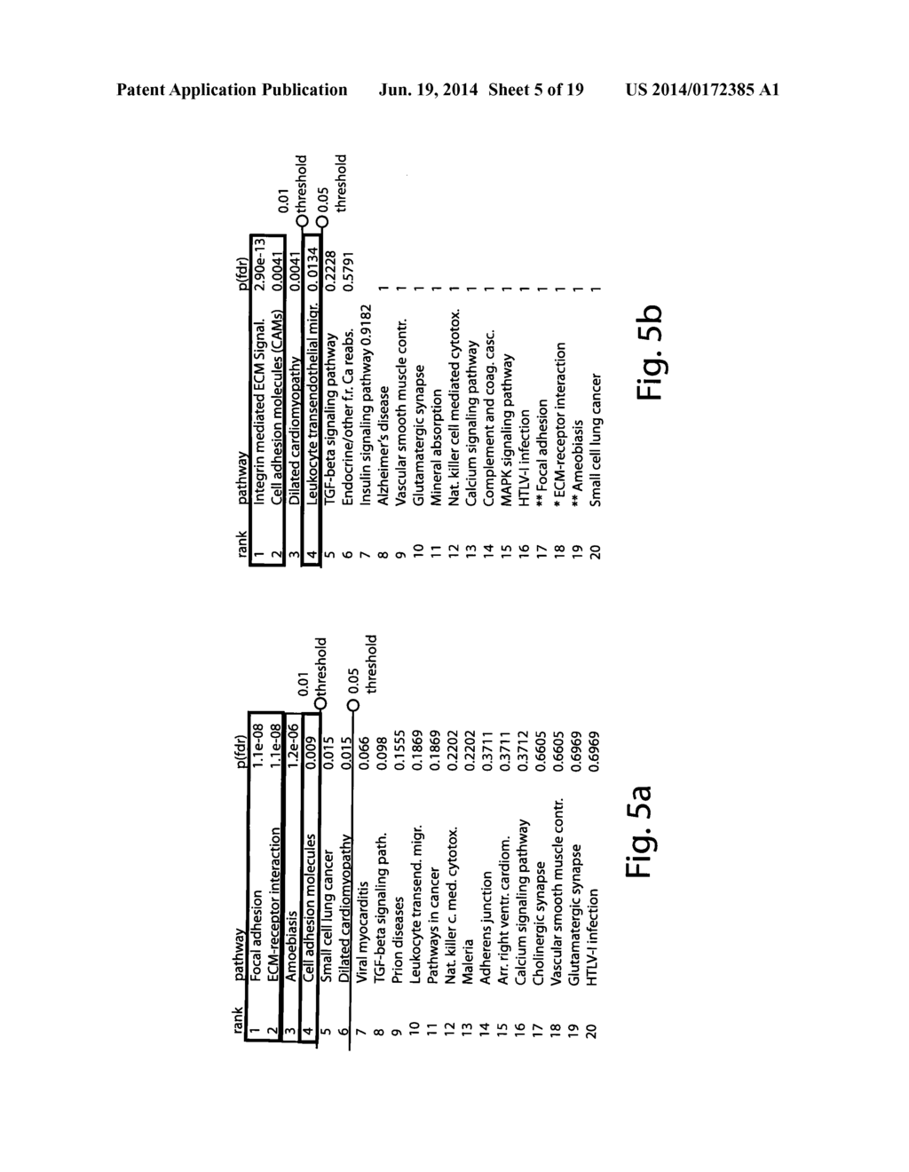 Genetic, Metabolic and Biochemical Pathway Analysis System and Methods - diagram, schematic, and image 06