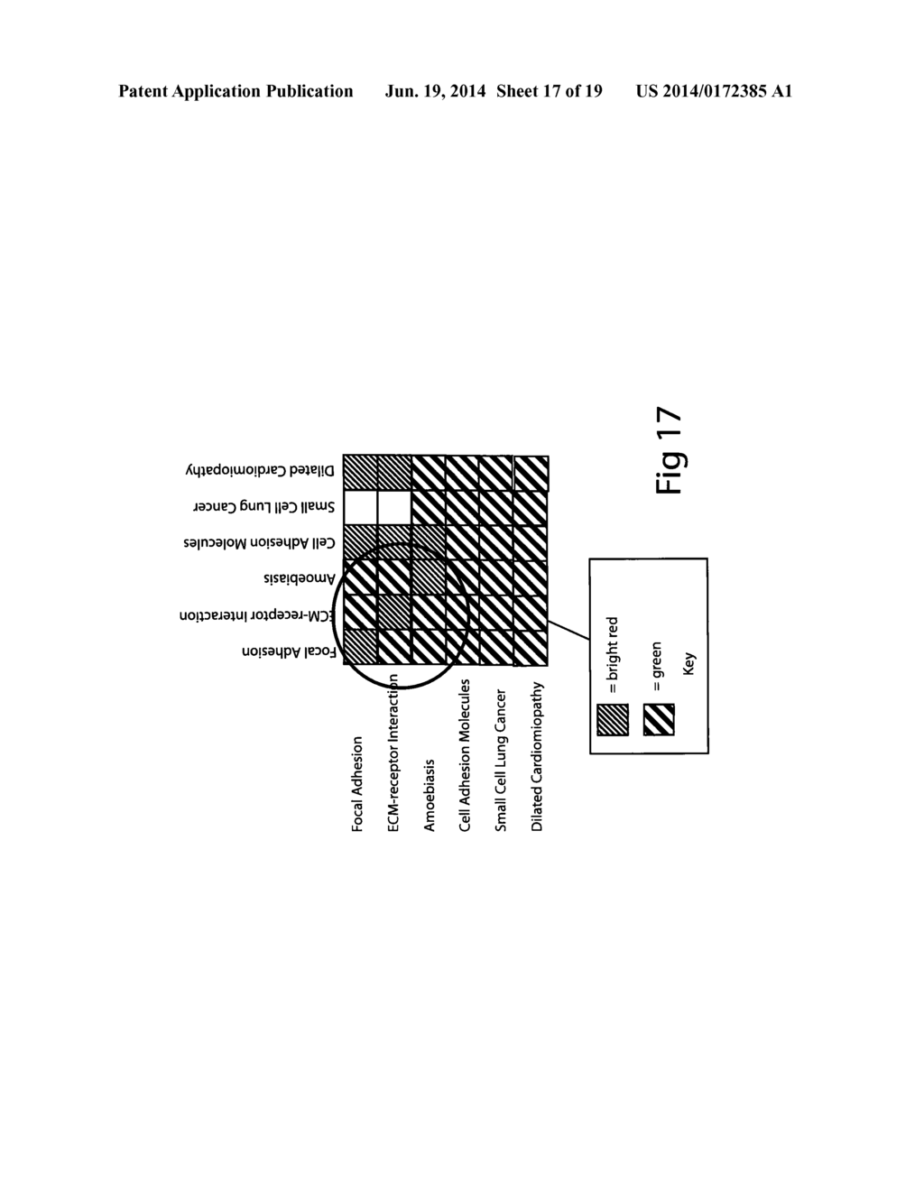 Genetic, Metabolic and Biochemical Pathway Analysis System and Methods - diagram, schematic, and image 18