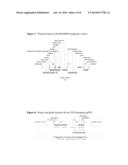 PRECISION GENE TARGETING TO A PARTICULAR LOCUS IN MAIZE diagram and image