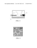 ELECTROCHEMICALLY-GROWN NANOWIRES AND USES THEREOF diagram and image