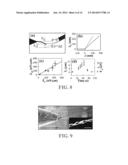 ELECTROCHEMICALLY-GROWN NANOWIRES AND USES THEREOF diagram and image