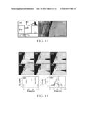 ELECTROCHEMICALLY-GROWN NANOWIRES AND USES THEREOF diagram and image