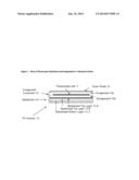 MULTILAYERED POLYOLEFIN-BASED FILMS HAVING A LAYER COMPRISING A     CRYSTALLINE BLOCK COPOLYMER COMPOSITE OR A BLOCK COPOLYMER COMPOSITE     RESIN diagram and image