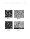 HOLLOW HYDROGEL CAPSULES AND METHODS OF USING THE SAME diagram and image