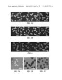 HOLLOW HYDROGEL CAPSULES AND METHODS OF USING THE SAME diagram and image