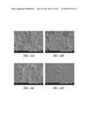 HOLLOW HYDROGEL CAPSULES AND METHODS OF USING THE SAME diagram and image