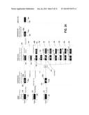 Methods, Systems and Devices for Physical Contact Activated Display and     Navigation diagram and image