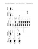 Methods, Systems and Devices for Physical Contact Activated Display and     Navigation diagram and image