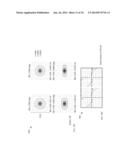 MULTISCALE TELESCOPIC IMAGING SYSTEM diagram and image