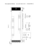 METHOD AND APPARATUS FOR TRANSMITTING DATA IN OPTICAL TRANSPORT NETWORK diagram and image