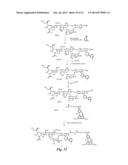 HETEROBIFUNCTIONAL PAN-SELECTIN INHIBITORS diagram and image