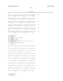 HOMOGENOUS PREPARATIONS OF IL-28 AND IL-29 diagram and image