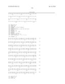 HOMOGENOUS PREPARATIONS OF IL-28 AND IL-29 diagram and image