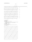 HOMOGENOUS PREPARATIONS OF IL-28 AND IL-29 diagram and image