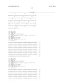 HOMOGENOUS PREPARATIONS OF IL-28 AND IL-29 diagram and image