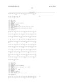 HOMOGENOUS PREPARATIONS OF IL-28 AND IL-29 diagram and image