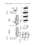 METHODS AND COMPOSITIONS FOR THE TREATMENT OF PERSISTENT INFECTIONS AND     CANCER BY INHIBITING THE PROGRAMMED CELL DEATH 1 (PD-1) PATHWAY diagram and image