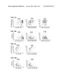 METHODS AND COMPOSITIONS FOR THE TREATMENT OF PERSISTENT INFECTIONS AND     CANCER BY INHIBITING THE PROGRAMMED CELL DEATH 1 (PD-1) PATHWAY diagram and image