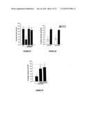 POST-TRANSLATIONALLY MODIFIED NEUROTROPHINS diagram and image