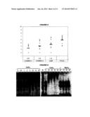 COMPOSITIONS FOR IMMUNISING AGAINST STAPHYLOCOCCUS AUREUS diagram and image