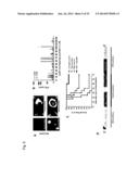 INDIVIDUALIZED VACCINES FOR CANCER diagram and image