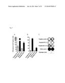 INDIVIDUALIZED VACCINES FOR CANCER diagram and image