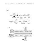 INDIVIDUALIZED VACCINES FOR CANCER diagram and image