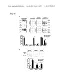 INDIVIDUALIZED VACCINES FOR CANCER diagram and image