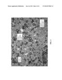 STABLE THREE-PHASED EMULSIONS diagram and image