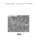 HEMOSTATIC AGENT FOR TOPICAL AND INTERNAL USE diagram and image