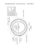 ANTISERA ASSAYS FOR MLV RELATED VIRUSES IN HUMANS AND OTHER MAMMALS diagram and image