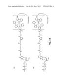 PHOTOINDUCED REDOX CURRENT (PIRC) DETECTION FOR DNA SEQUENCING USING     INTEGRATED TRANSDUCER ARRAY diagram and image