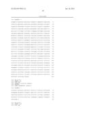 ENHANCED HETEROLOGOUS PROTEIN PRODUCTION IN KLUYVEROMYCES MARXIANUS diagram and image