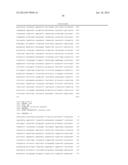 PRODUCTION OF OMEGA-AMINO FATTY ACIDS diagram and image