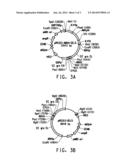 EXPRESSION OF XYLOSE ISOMERASE ACTIVITY IN YEAST diagram and image