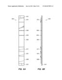 IMMUNOASSAY TEST STRIP FOR USE IN A DIAGNOSTIC SYSTEM diagram and image