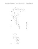 CYTOPROTECTIVE DERIVATIVES OF AVICIN D AND METHODS OF MAKING AND USING     THEREOF diagram and image