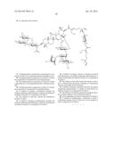 CYTOPROTECTIVE DERIVATIVES OF AVICIN D AND METHODS OF MAKING AND USING     THEREOF diagram and image