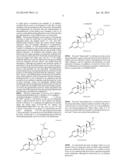 CICLESONIDE FOR THE TREATMENT OF AIRWAY DISEASE IN HORSES diagram and image