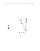 METHODS AND COMPOSITIONS FOR STIMULATION AND ENHANCEMENT OF REGENERATION     OF TISSUES diagram and image