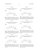 N1-Cyclic Amine-N5-Substituted Biguanide Derivatives, Methods of Preparing     the Same and Pharmaceutical Composition Comprising the Same diagram and image