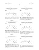 N1-Cyclic Amine-N5-Substituted Biguanide Derivatives, Methods of Preparing     the Same and Pharmaceutical Composition Comprising the Same diagram and image