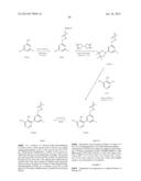 INDAZOLE INHIBITORS OF THE WNT SIGNAL PATHWAY AND THERAPEUTIC USES THEREOF diagram and image