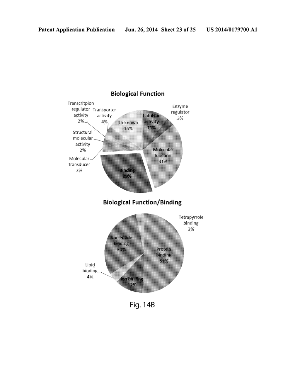 METHODS OF TREATING HEMOGLOBINOPATHIES - diagram, schematic, and image 24