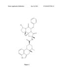 8 -HYDROXY-DIHYDROERGOTAMINE COMPOUNDS AND COMPOSITIONS diagram and image