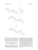 TARGETING LIPIDS diagram and image