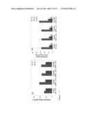 Stabilized Polymer Composition Containing an Impact Modifier diagram and image