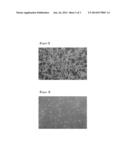 Artificial Silica Marble Having Amorphous Patterns and Method for     Preparing the Same diagram and image